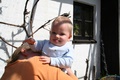 nikolas_2008_04_18___14.jpg
