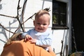 nikolas_2008_04_18___15.jpg