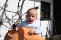 nikolas_2008_04_18___17.jpg