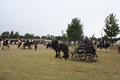 img_5415.jpg