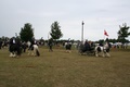 img_5416.jpg