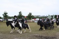 img_5417.jpg