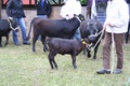 img_5419.jpg