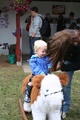img_5421.jpg