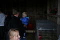 img_5428.jpg