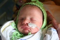 nikolas_2007_07_12___07.jpg