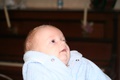 nikolas_2007_09_23___03.jpg