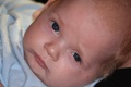 nikolas_2007_09_23___15.jpg