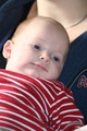 nikolas_2007_10_07___14.jpg