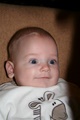 nikolas_2007_12_15___29.jpg